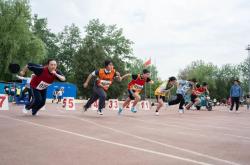 半岛体育在线-热血澎湃，球场上的豪情表现的简单介绍